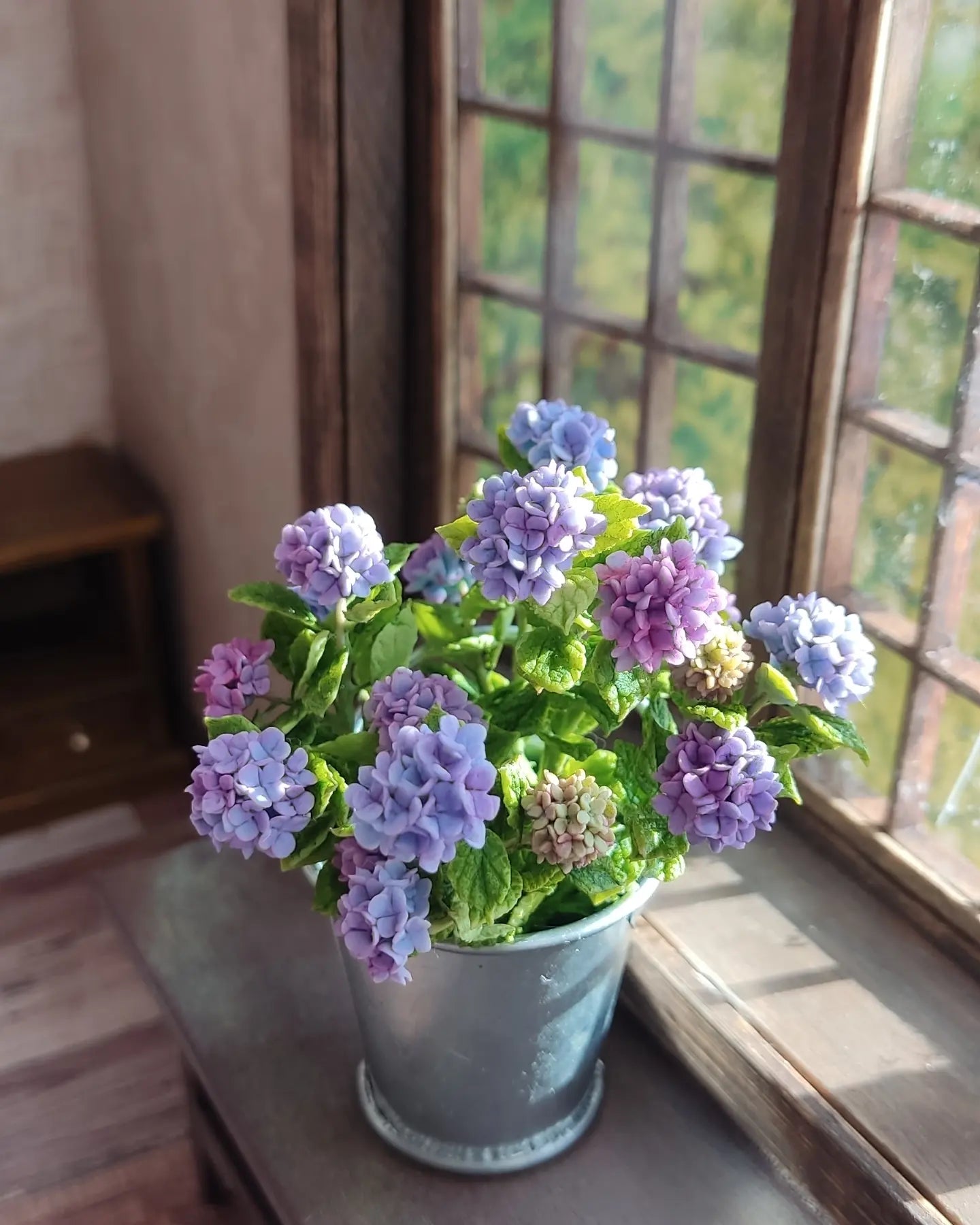Hydrangea