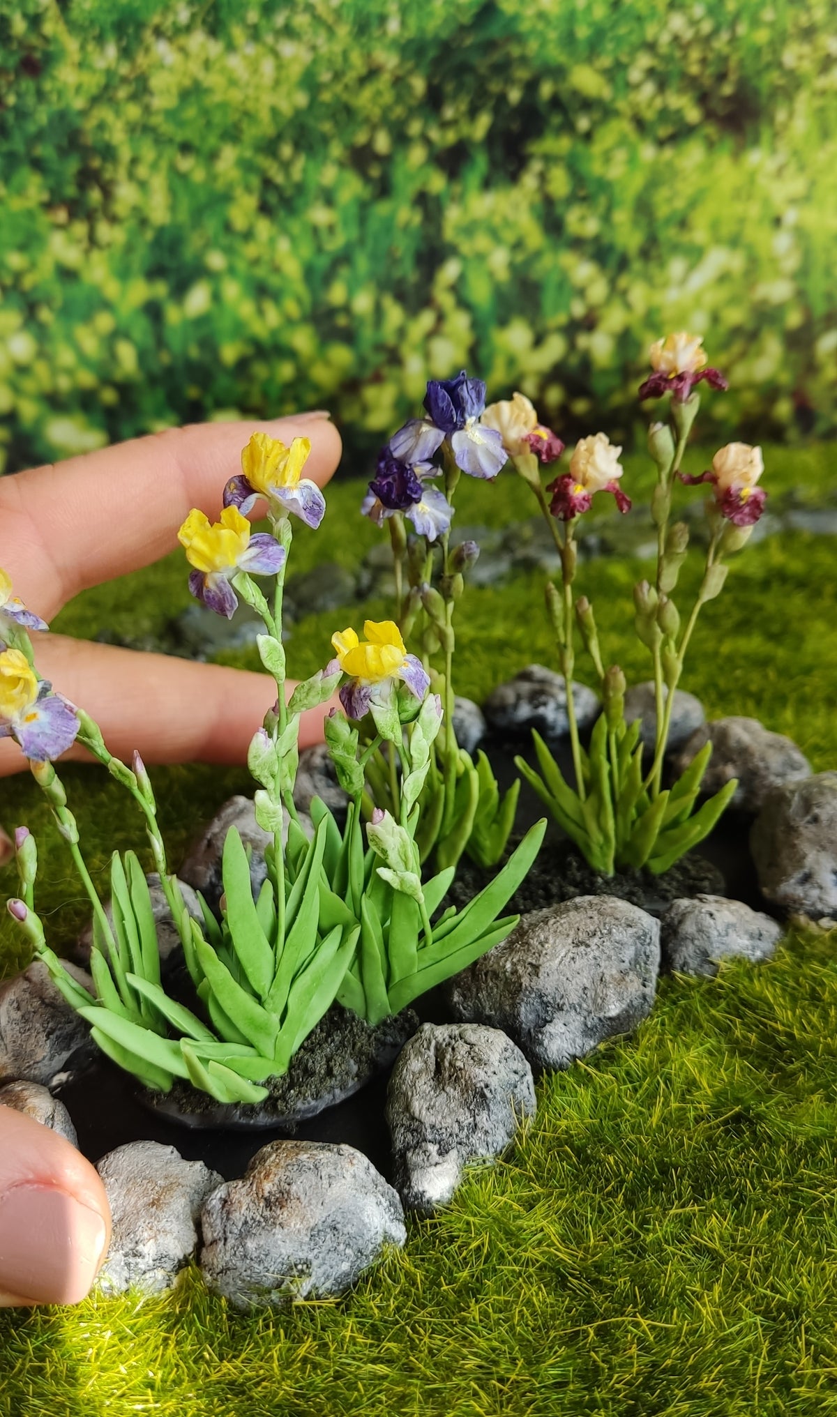 Composition with yellow bearded irises