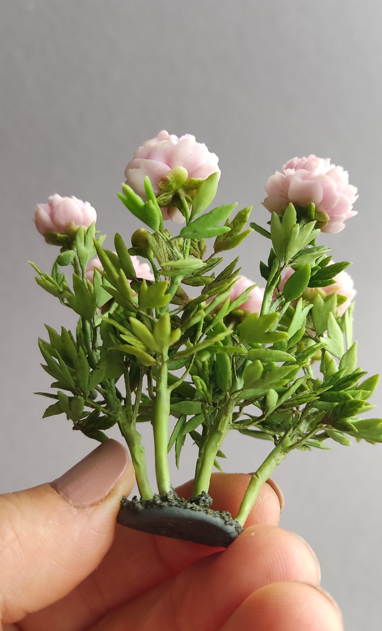 Pink peonies of Sarah Bernard
