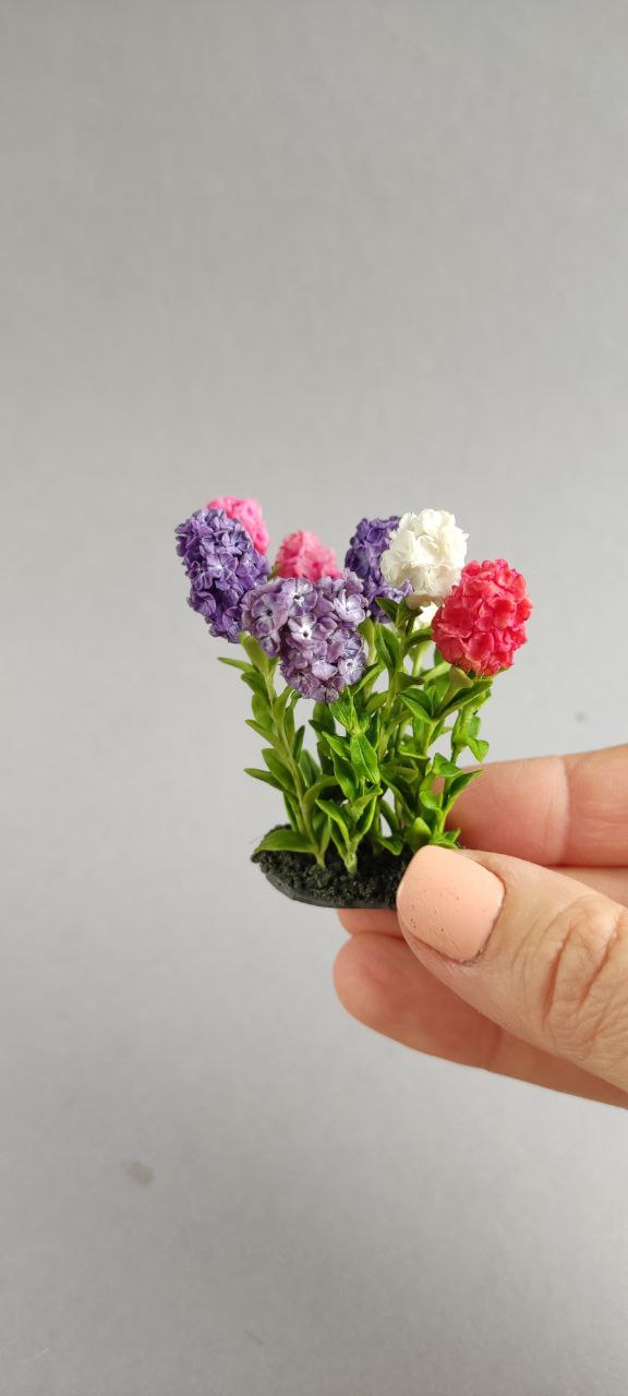 Garden composition with phloxes