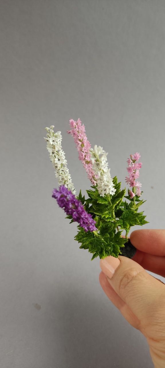 Composition with delphinium
