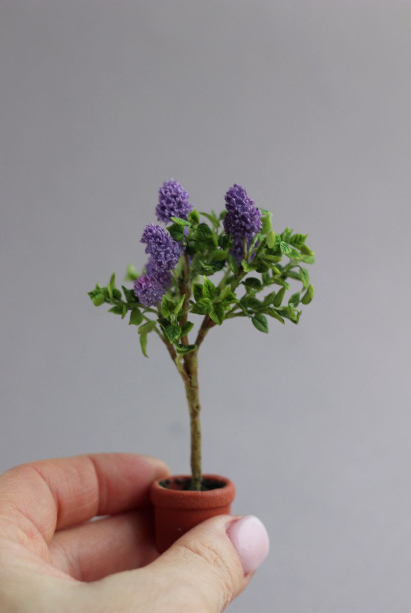 Common lilac tree 1:12