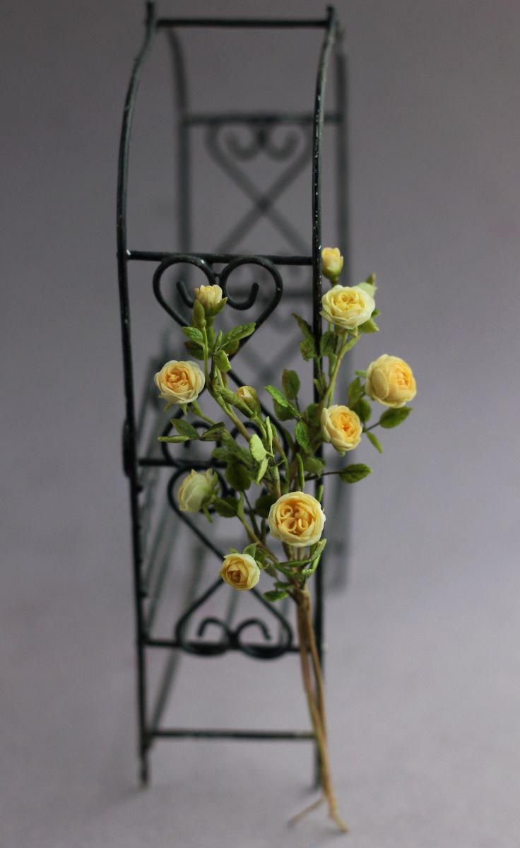 Curly rose. Two branches 1:12