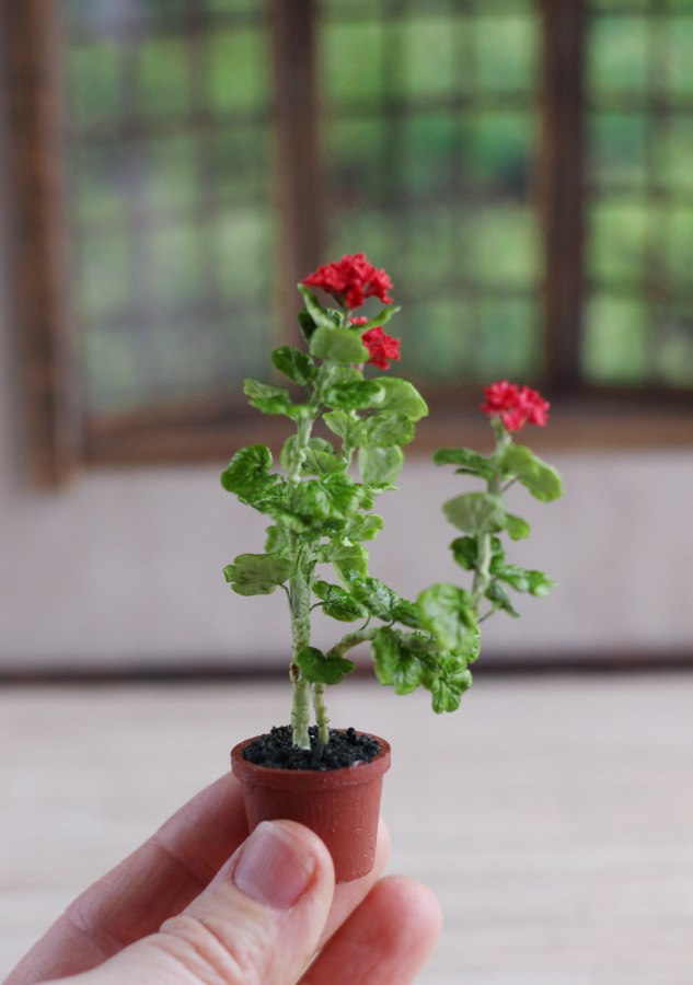 An old geranium in a 1:12 pot