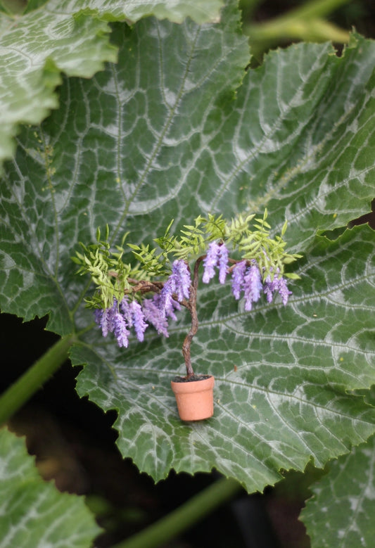* Wisteria. Potted vine. 1:12 scale for a dollhouse