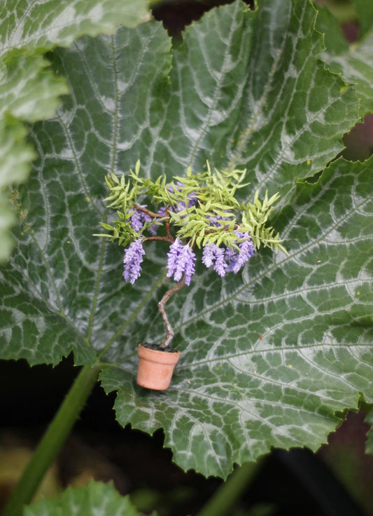* Wisteria. Potted vine. 1:12 scale for a dollhouse