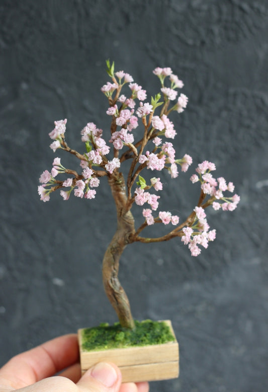 * A Blooming Cherry Tree 1:12