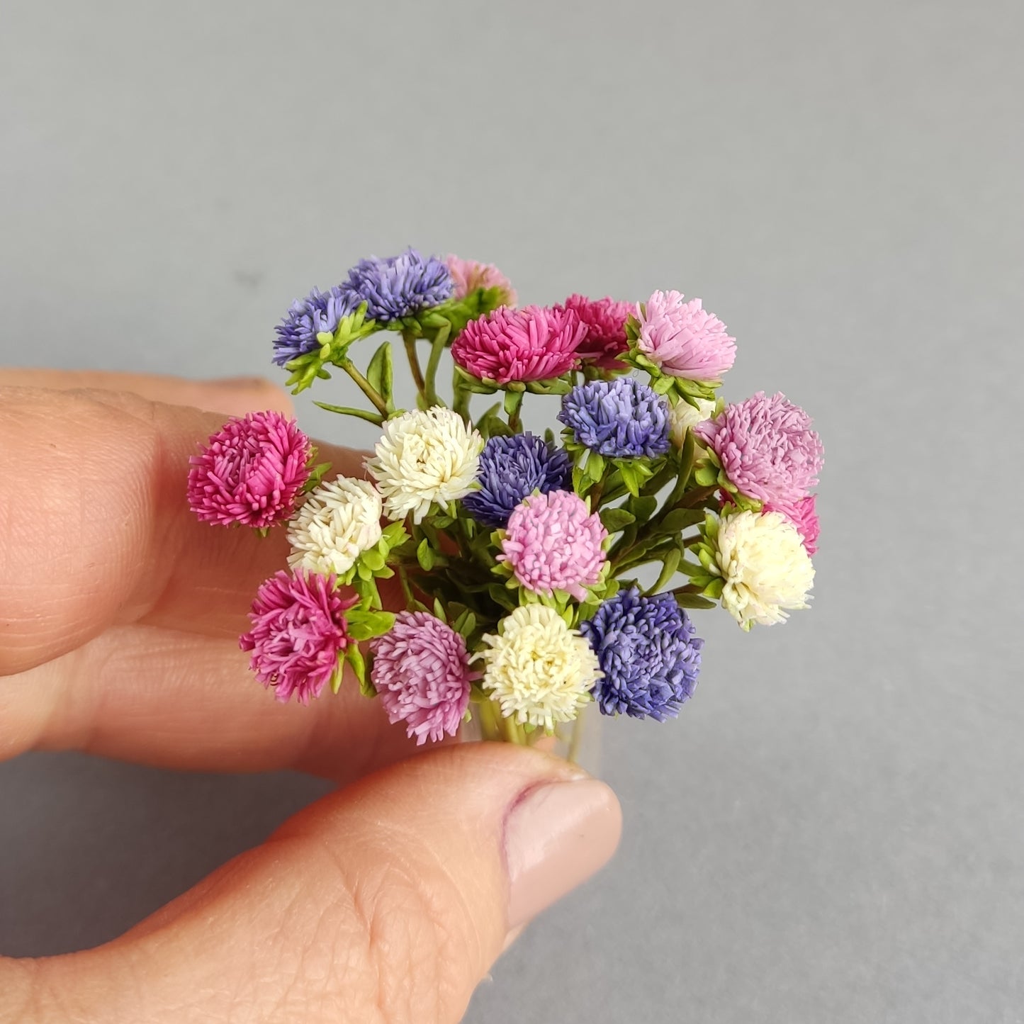 *                                          Bouquet of fall annual asters.