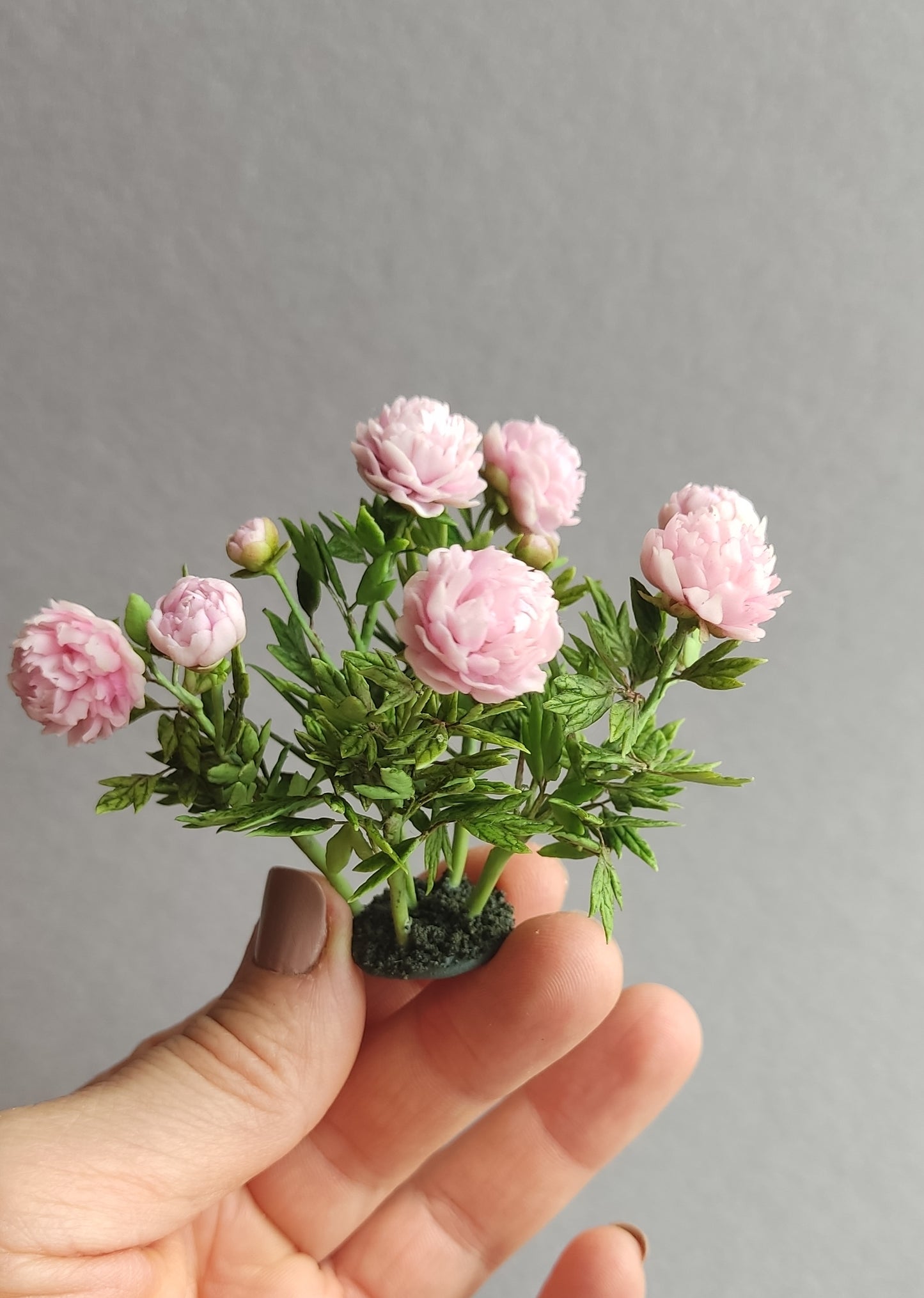 Pink peonies of  Sarah Bernard
