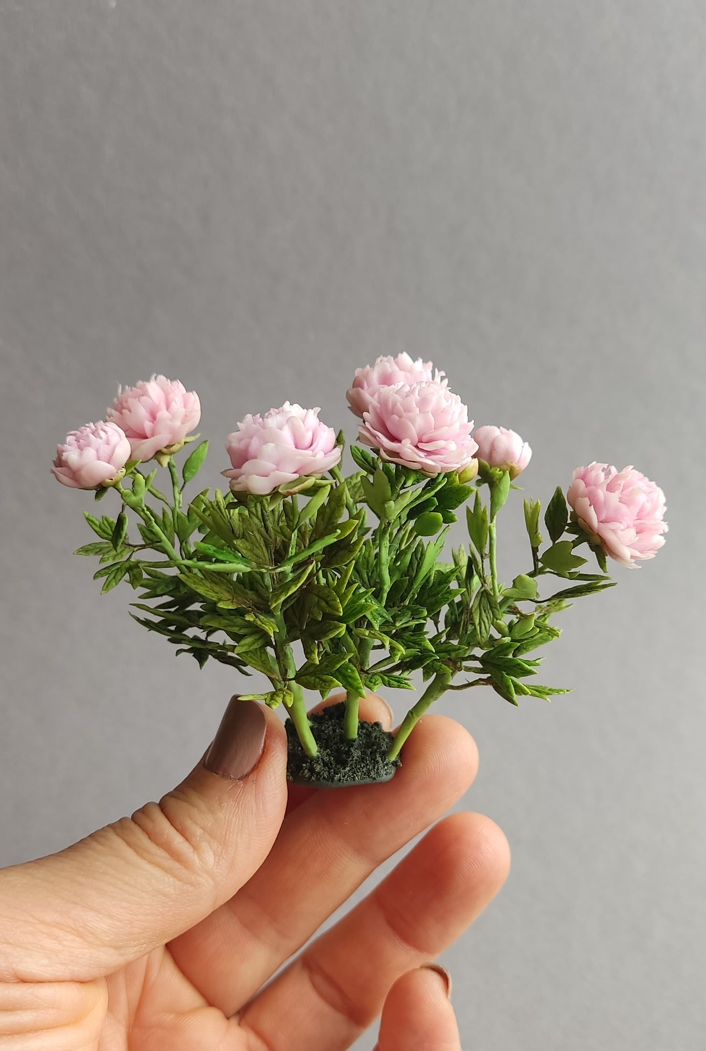 Pink peonies of  Sarah Bernard