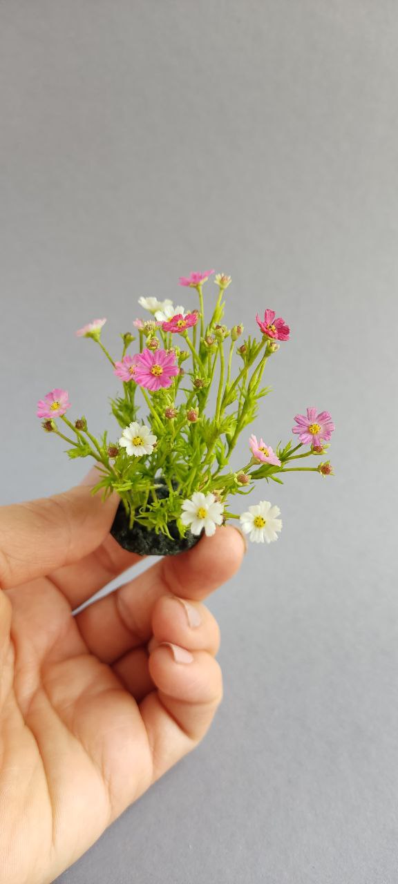 Cosmea. Botanical miniature. Flowers on a stand 1:12