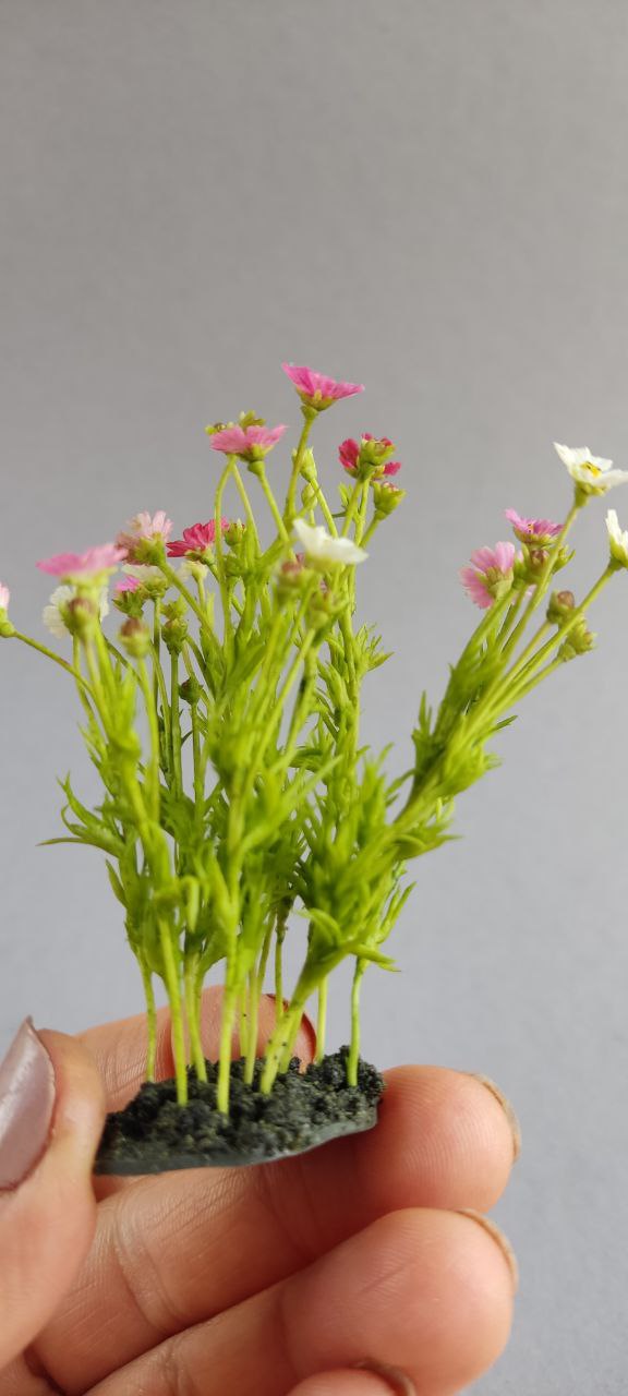 Cosmea. Botanical miniature. Flowers on a stand 1:12
