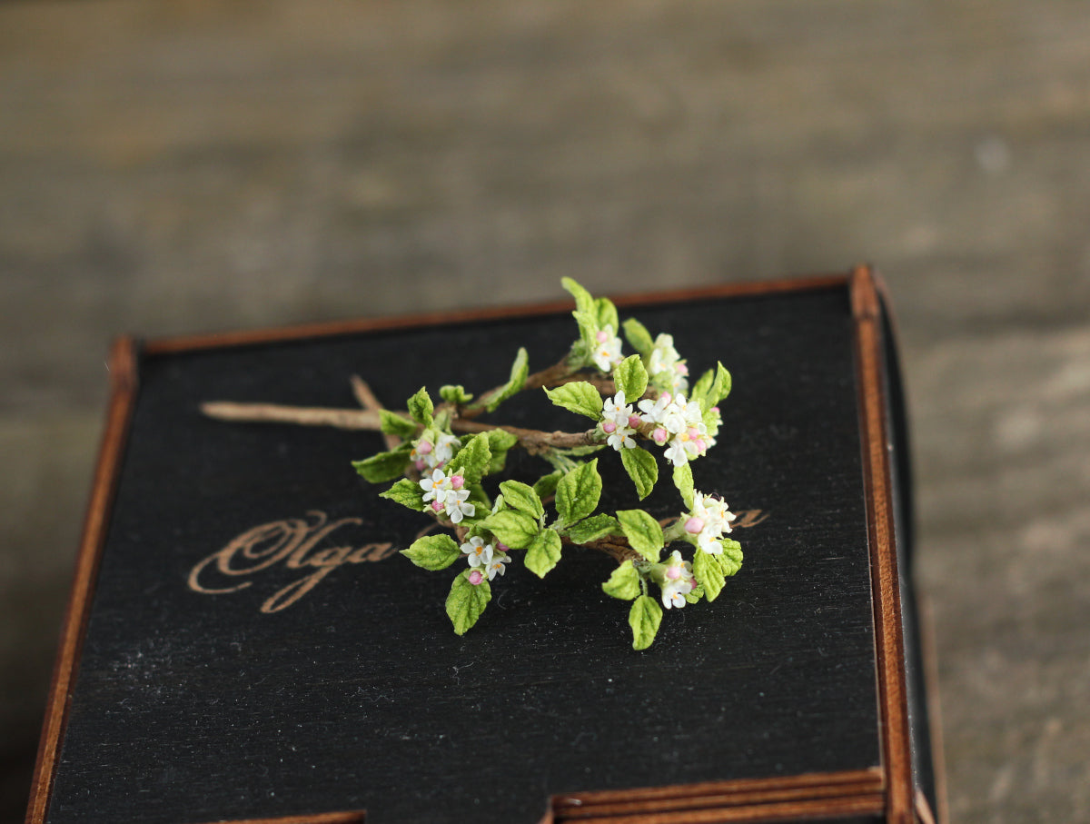 Apple blossom branch