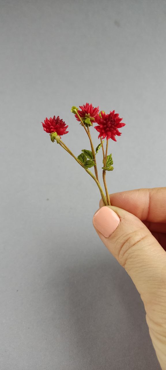 Bouquet of needle and peony-shaped dahlias