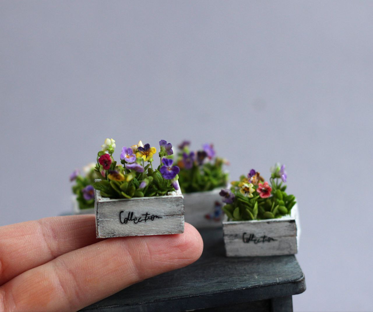 Wooden box of Viola.