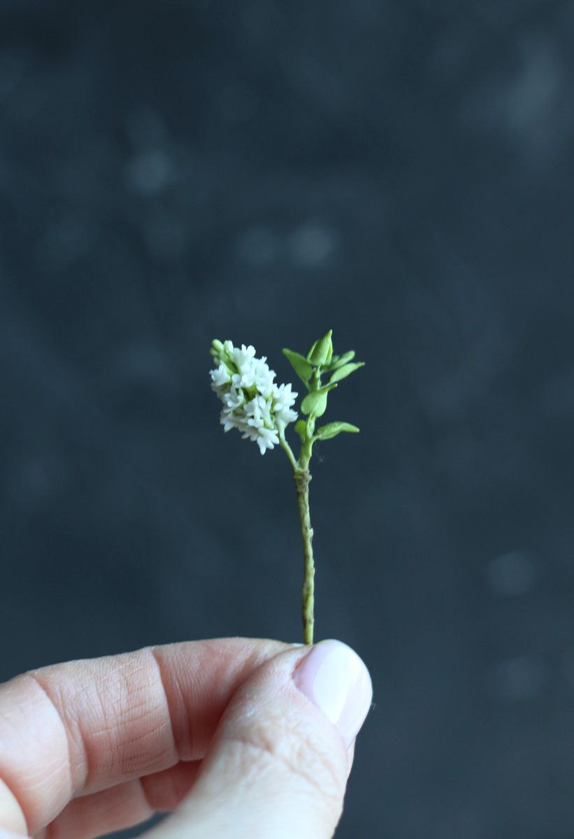 White lilac branch 1:12