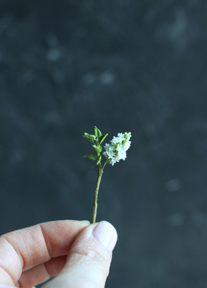 White lilac branch 1:12