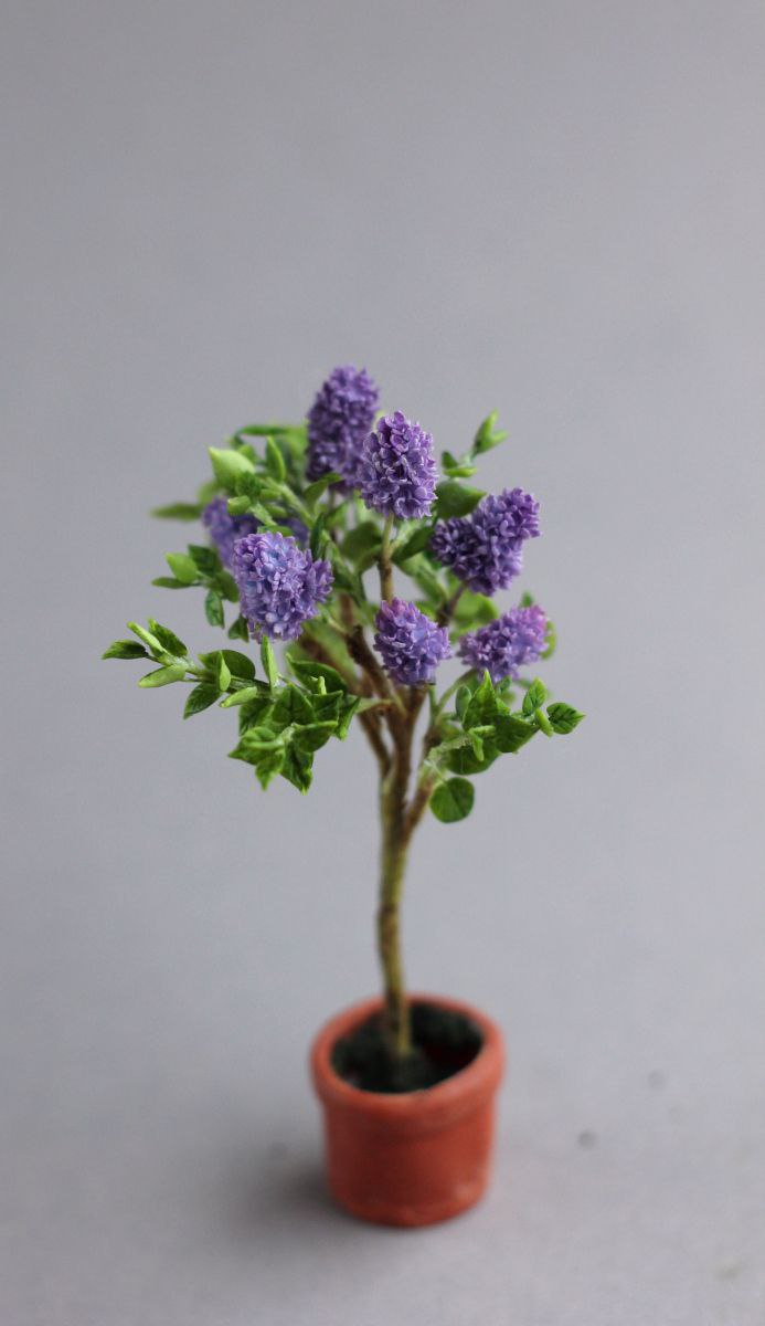 *      Common lilac tree 1:12