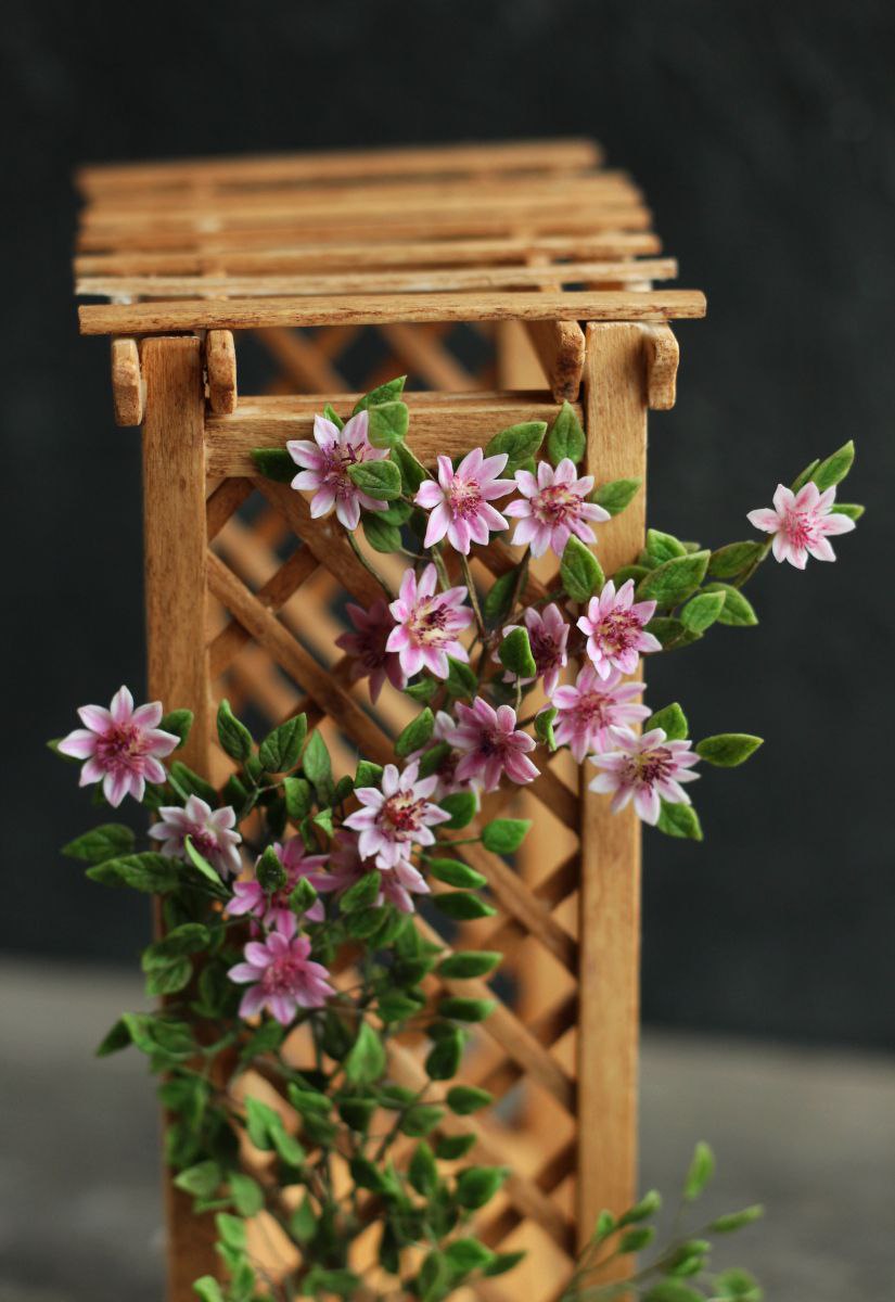 Clematis Pink Beauty. Miniature 1:12