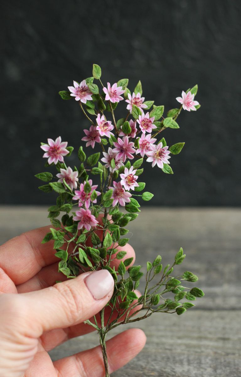 Clematis Pink Beauty. Miniature 1:12