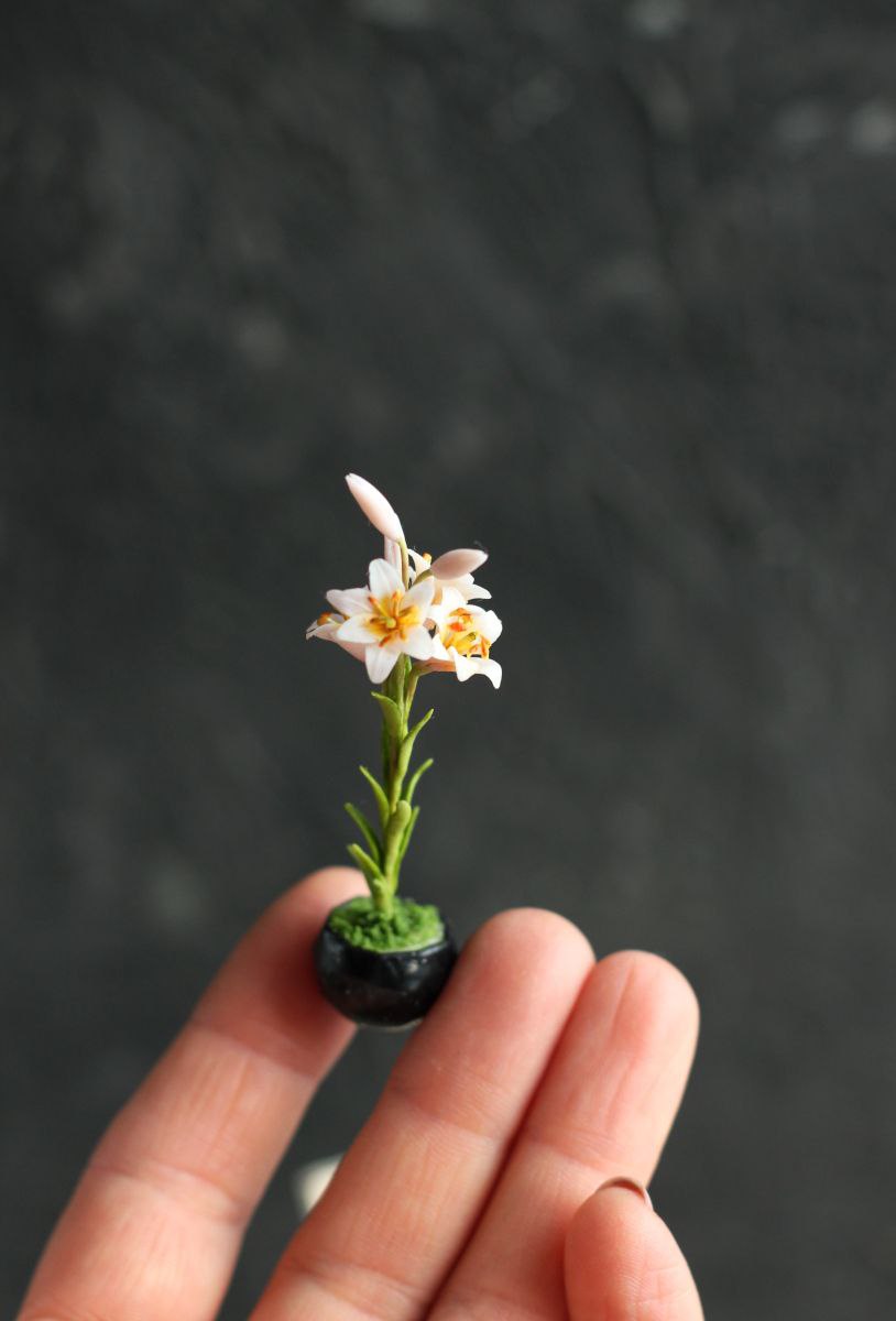 Flowering lily in a pot. Miniature 1:12