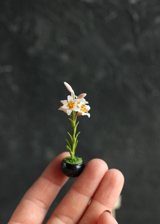 Flowering lily in a pot. Miniature 1:12