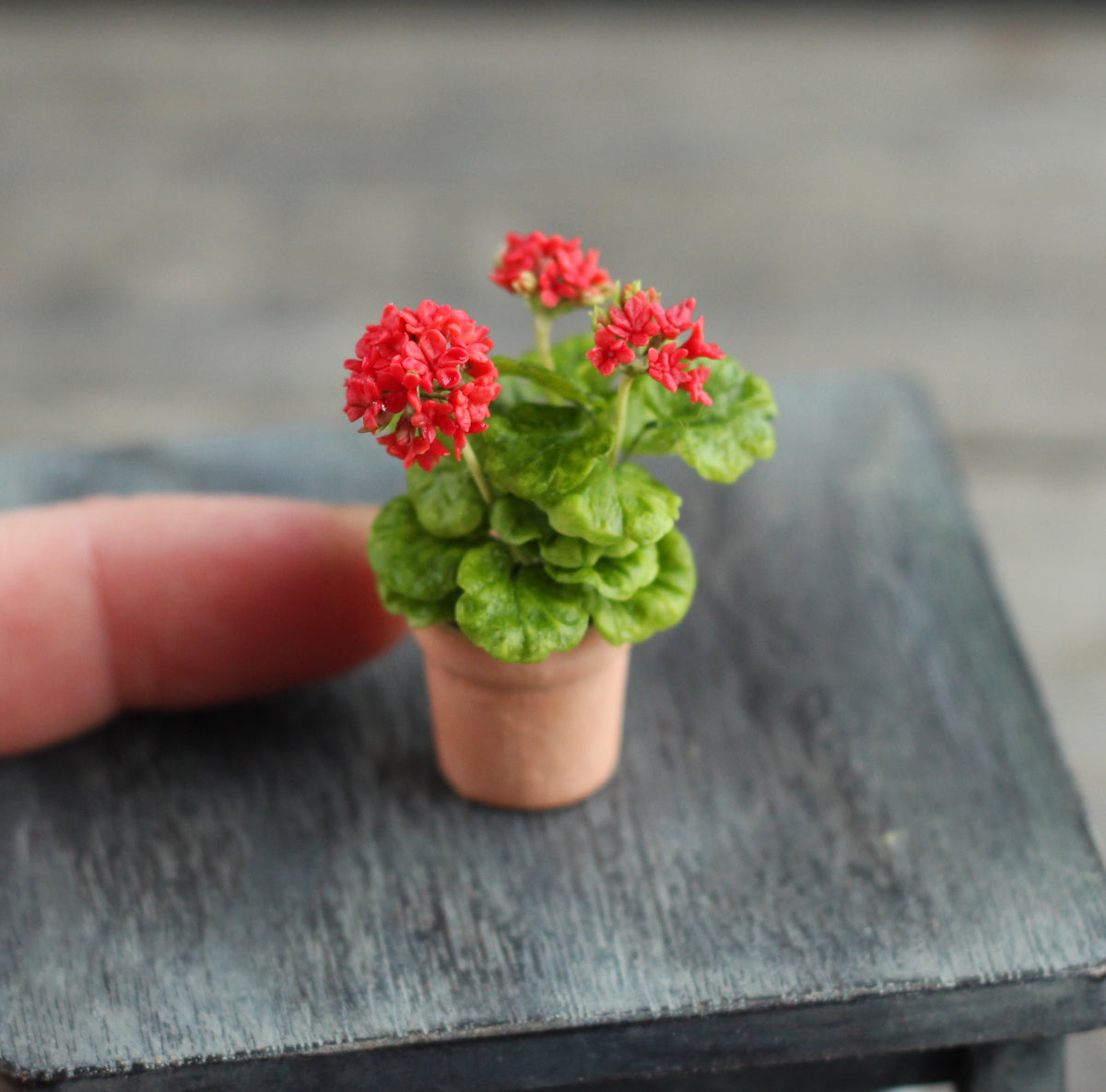 Red flowering geranium in a 1:12 pot for a dollhouse