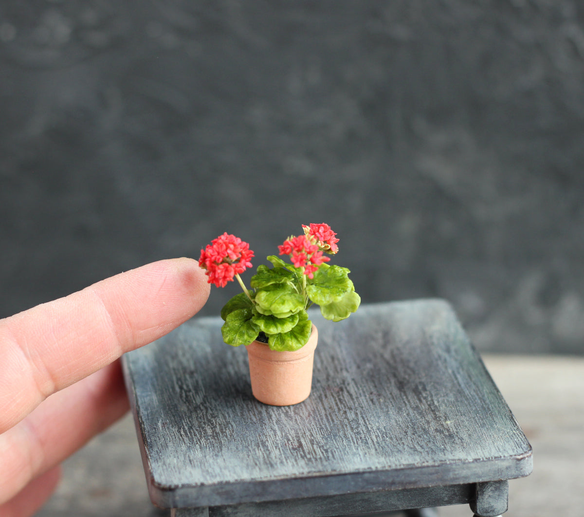 Red flowering geranium in a 1:12 pot for a dollhouse