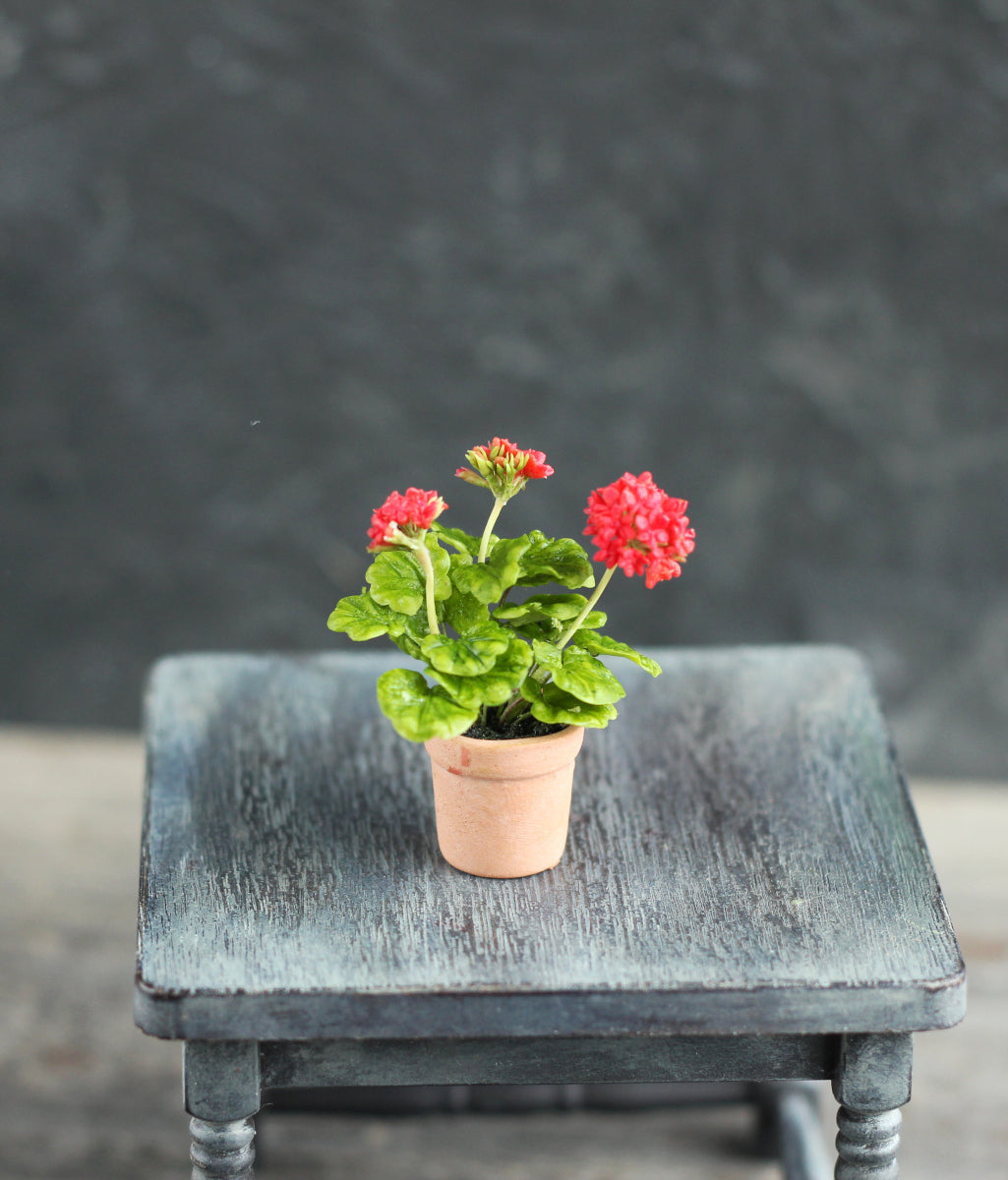 Red flowering geranium in a 1:12 pot for a dollhouse