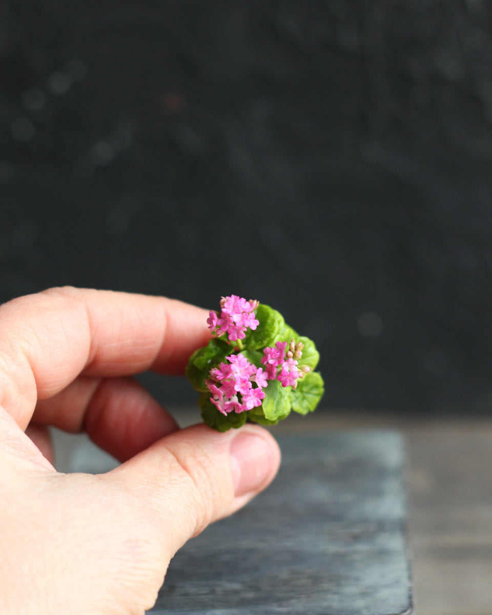 *                         Room geraniums 1:12 in a pot for dollhouse