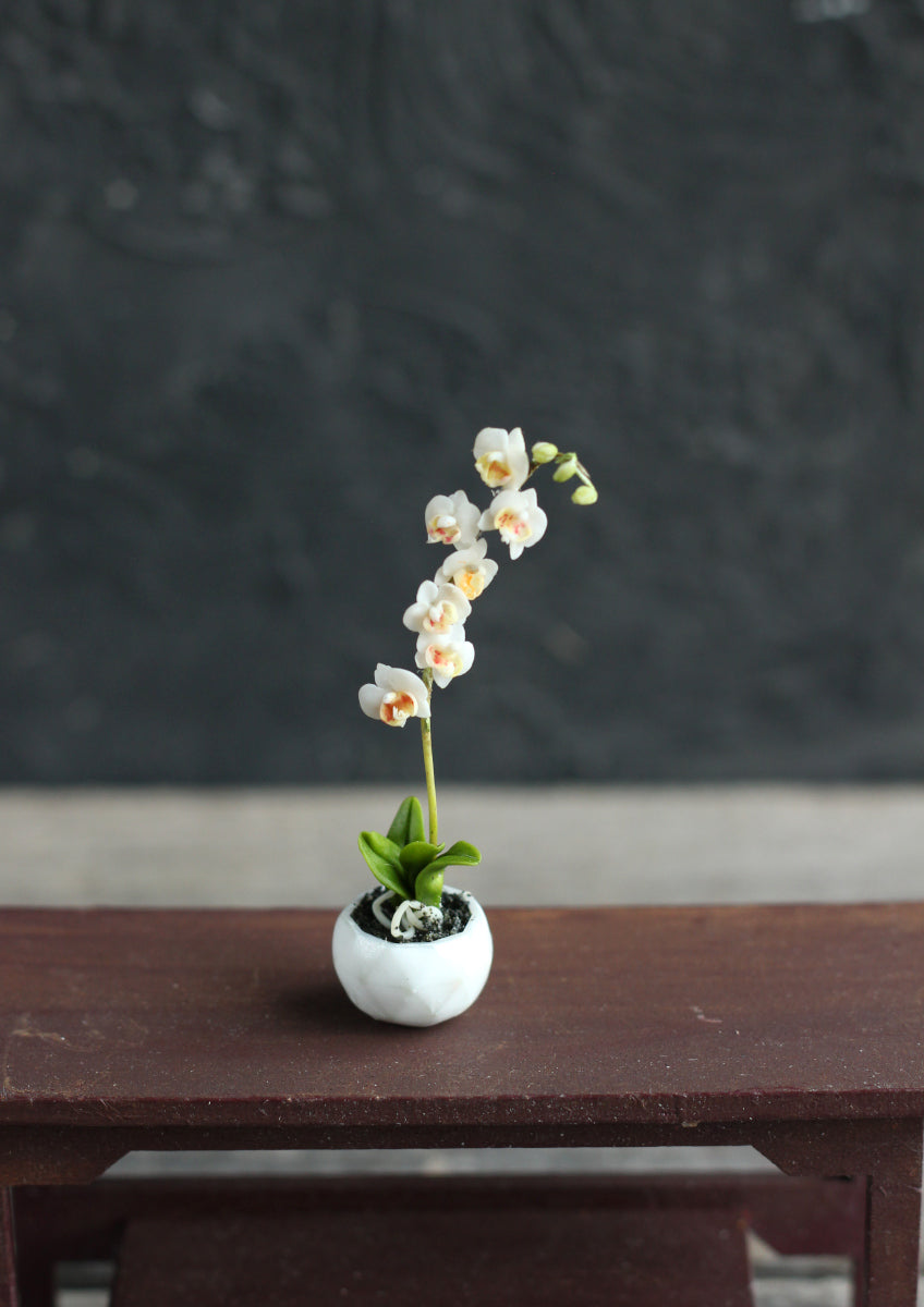 Miniature phalaenopsis orchid 1:12 in a dollhouse cachepot