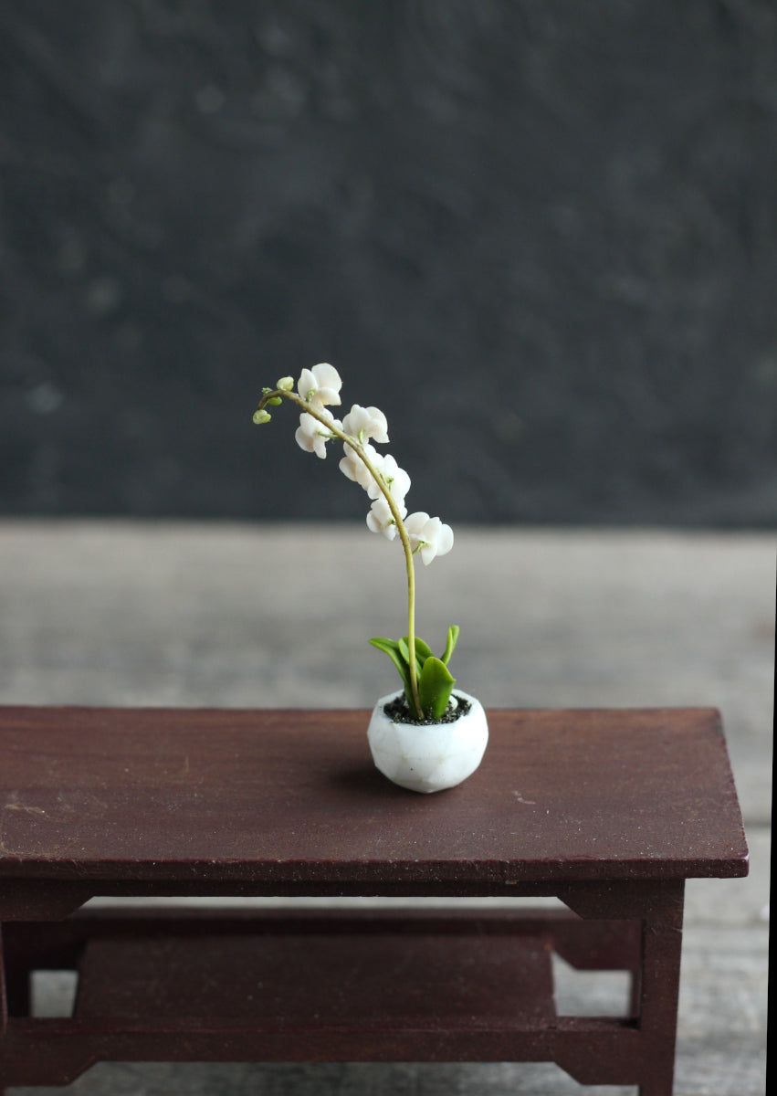 Miniature phalaenopsis orchid 1:12 in a dollhouse cachepot