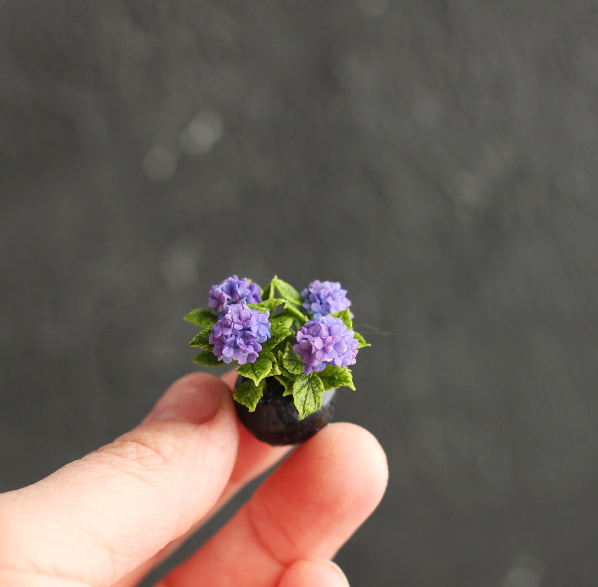 Large-leaved hydrangea in a decorative 1:12 cachepot for a dollhouse