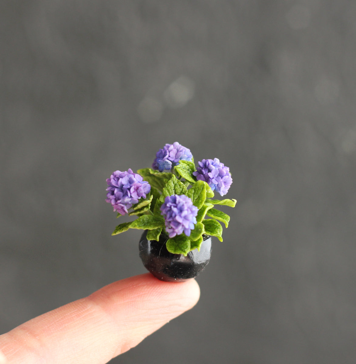 Large-leaved hydrangea in a decorative 1:12 cachepot for a dollhouse