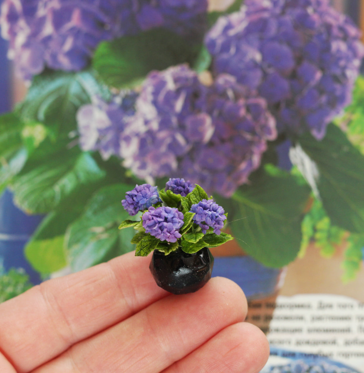 Large-leaved hydrangea in a decorative 1:12 cachepot for a dollhouse