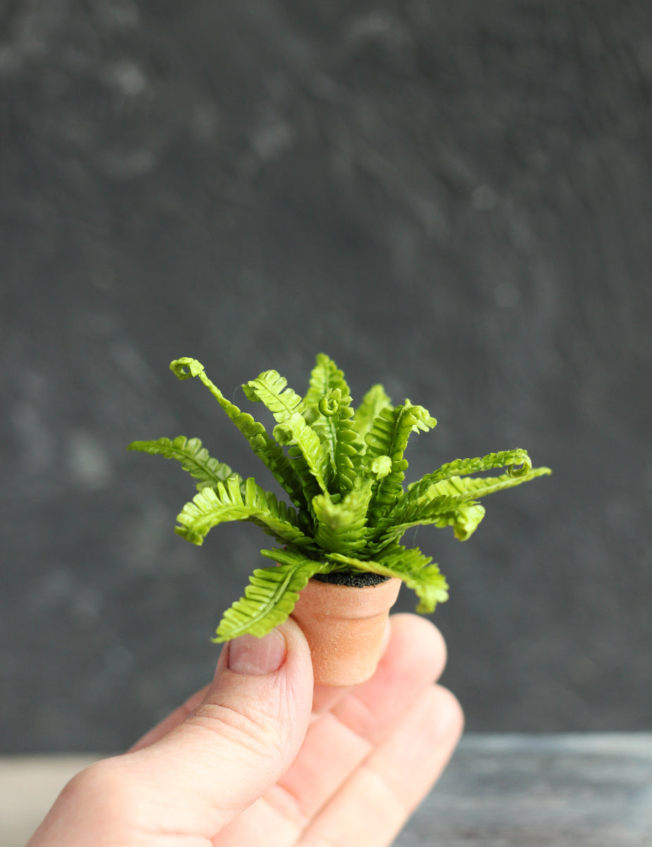 Fern in a 1:12 ceramic pot for a doll's house