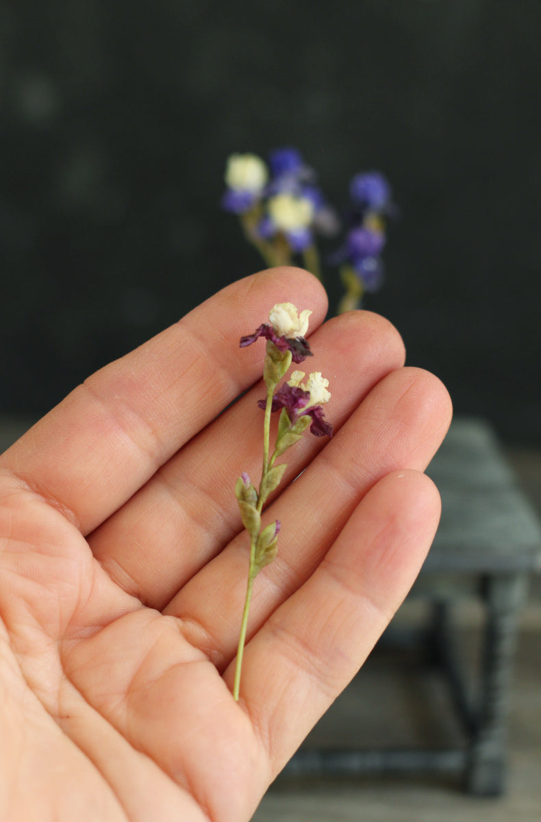 Miniature 1:12 iris for a dollhouse