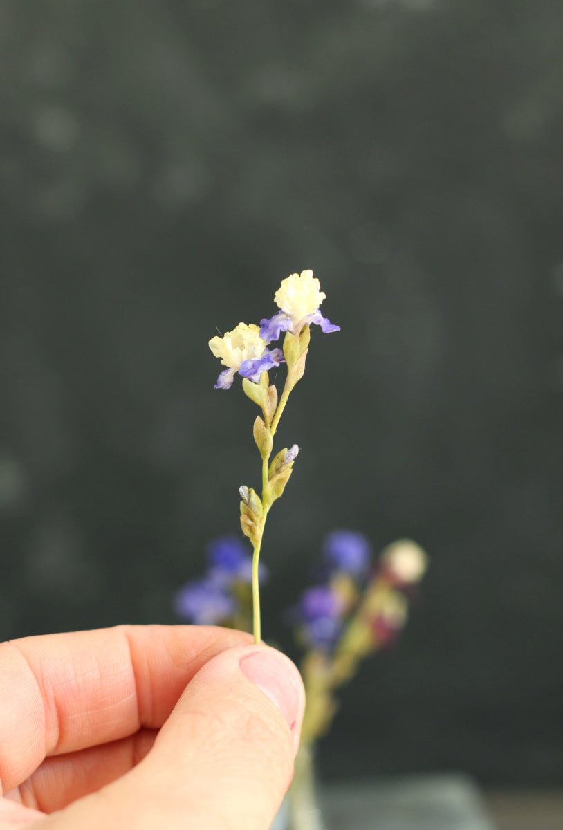 Miniature 1:12 iris for a dollhouse