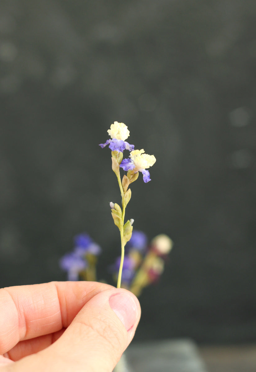 Miniature 1:12 iris for a dollhouse