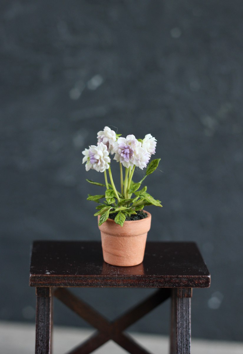 Dahlia bush in ceramic pot 1:12