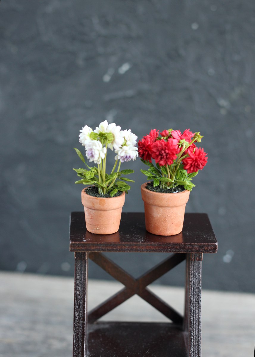Dahlia bush in ceramic pot 1:12
