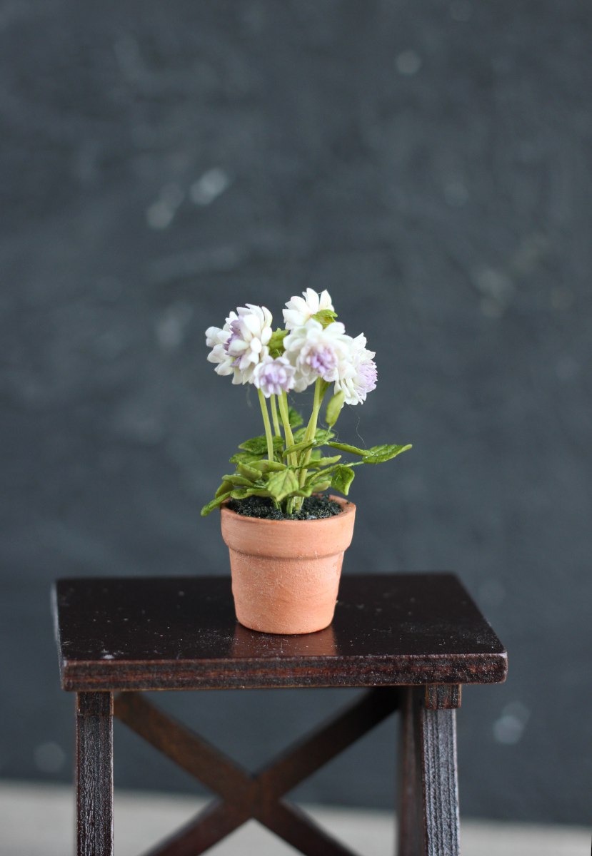 Dahlia bush in ceramic pot 1:12