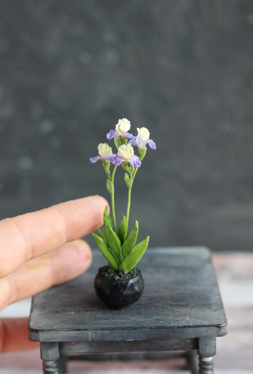 irises in a decorative cachepot 1:12