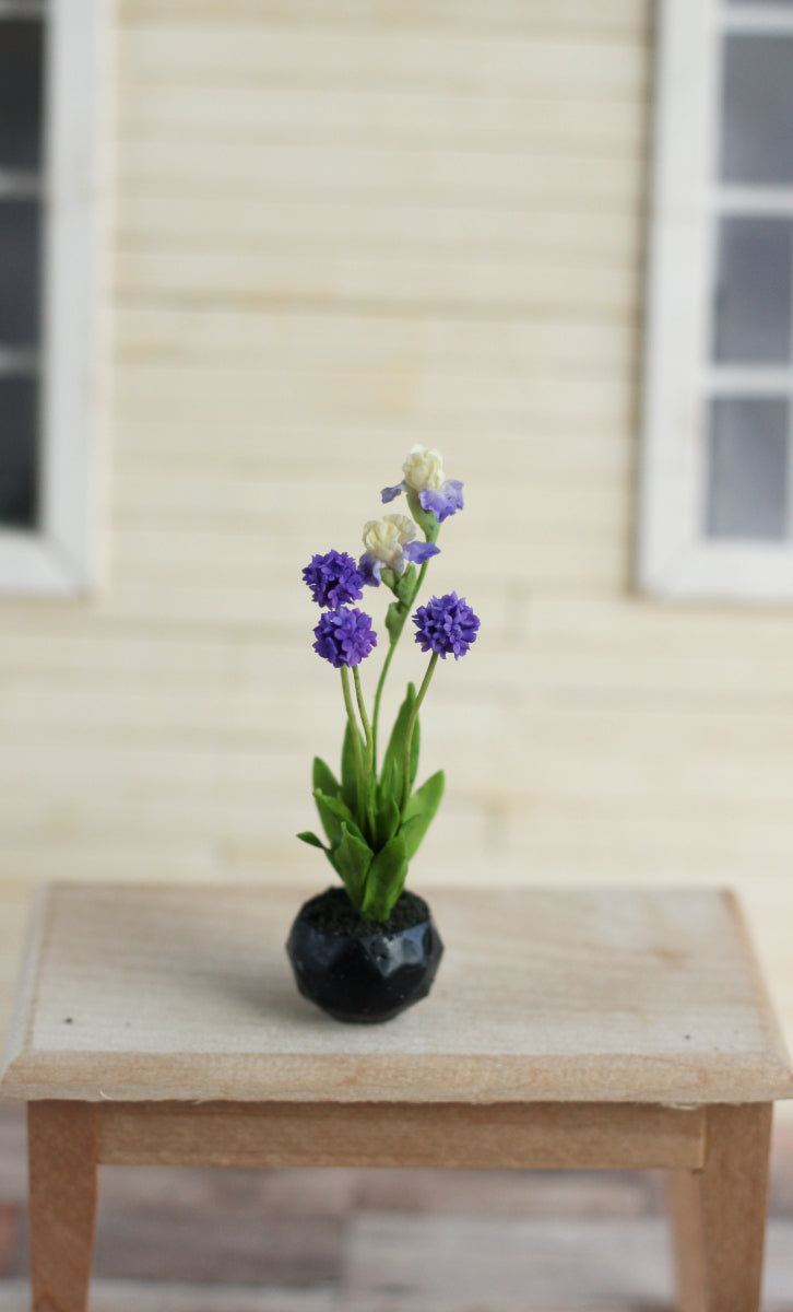 irises and ornamental onions in a decorative cachepot 1:12