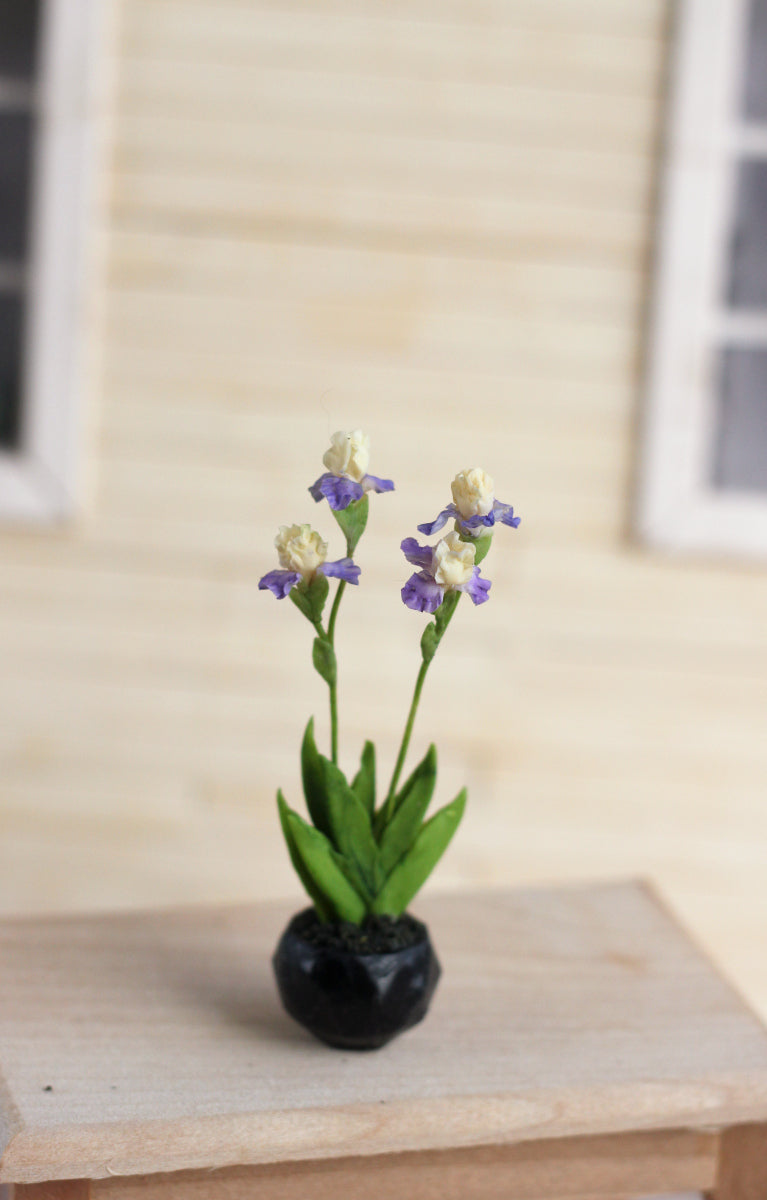 irises in a decorative cachepot 1:12