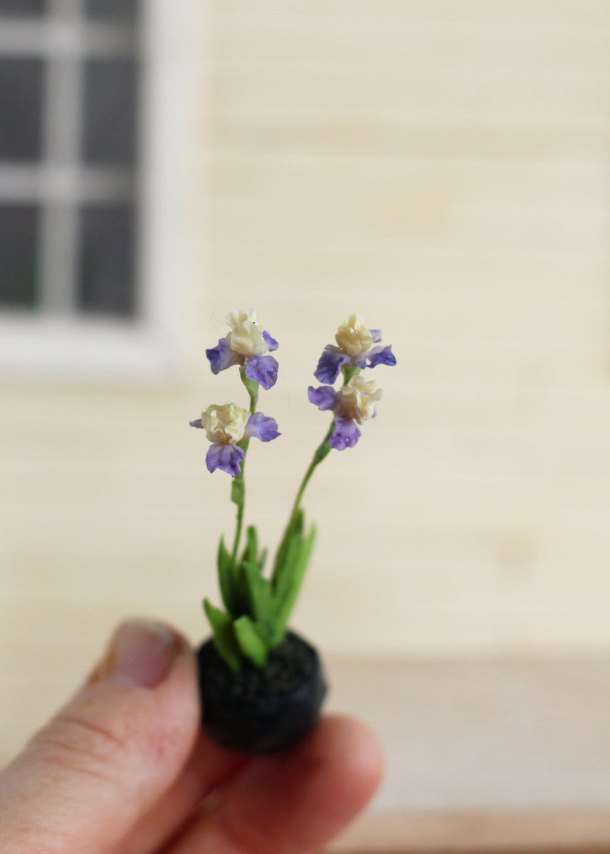 irises in a decorative cachepot 1:12