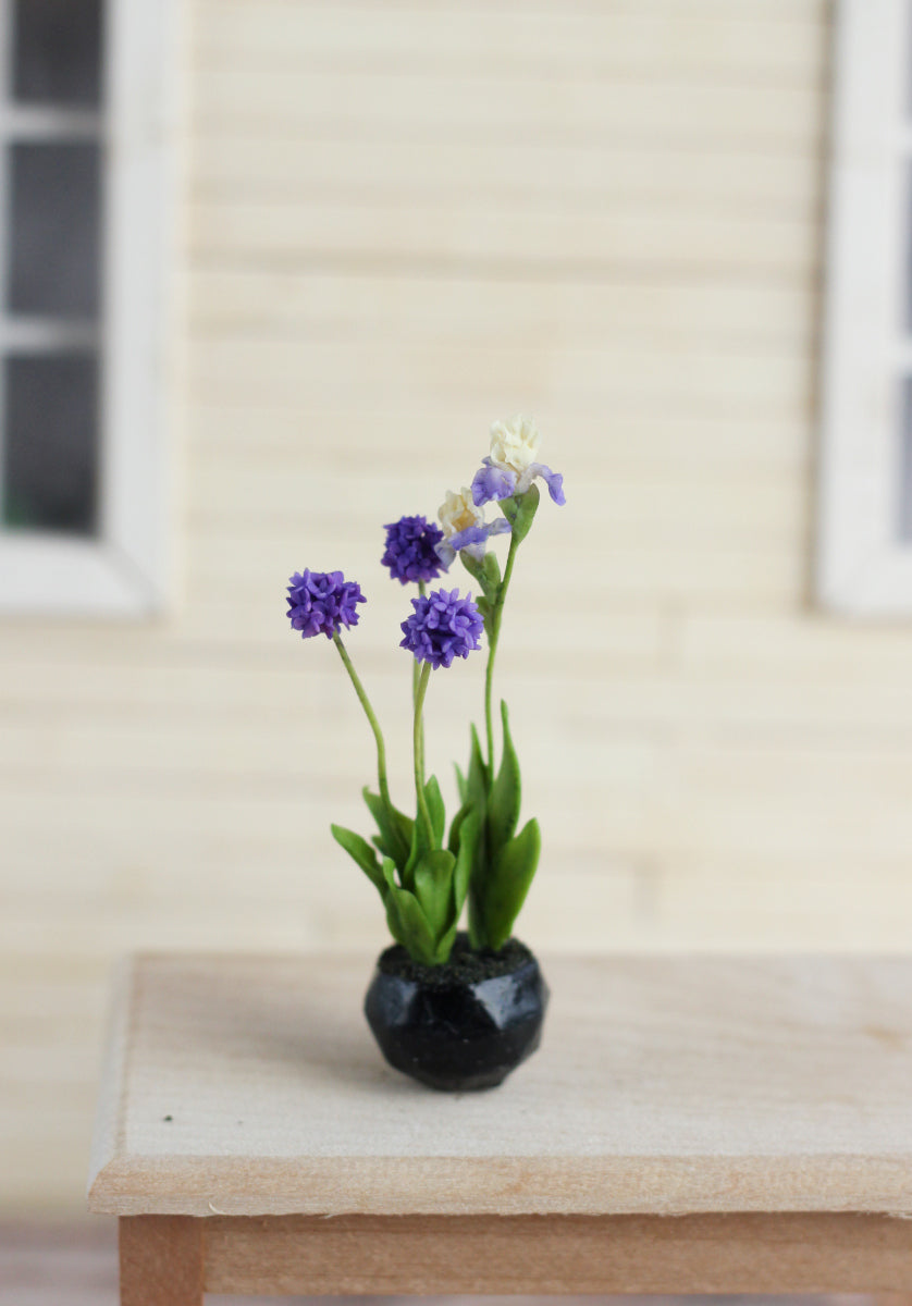 irises and ornamental onions in a decorative cachepot 1:12