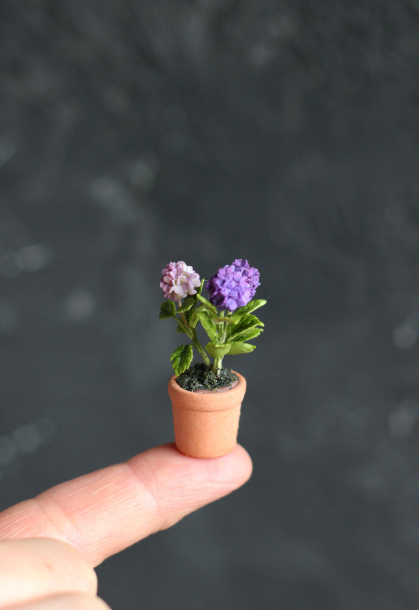 Miniature hydrangea in ceramic pot 1:12