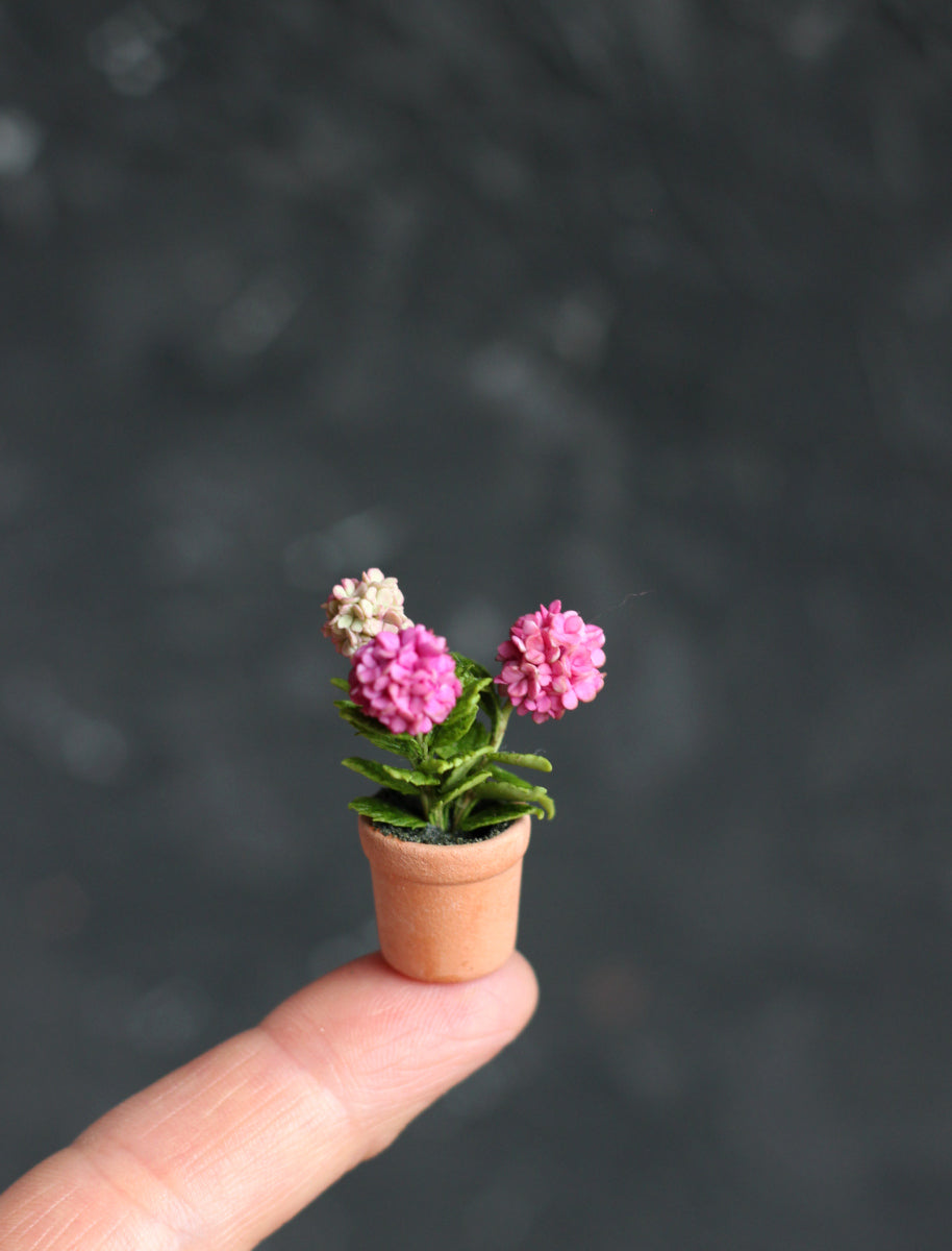 Miniature hydrangea in ceramic pot 1:12