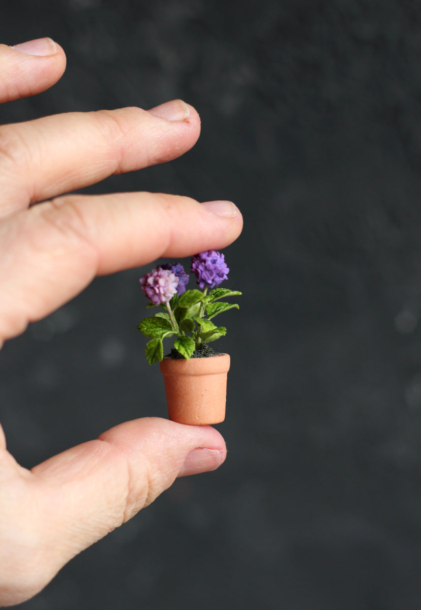 Miniature hydrangea in ceramic pot 1:12